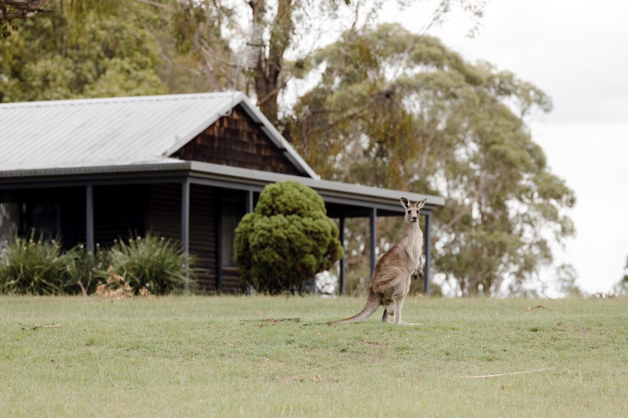 Lodge Palmers Lane Estate Hunter Valley
