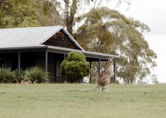 Palmers Lane Estate Hunter Valley
